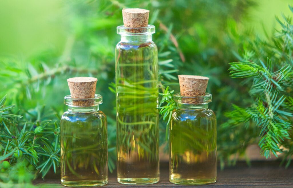 Tea tree oil for hair skin and nails