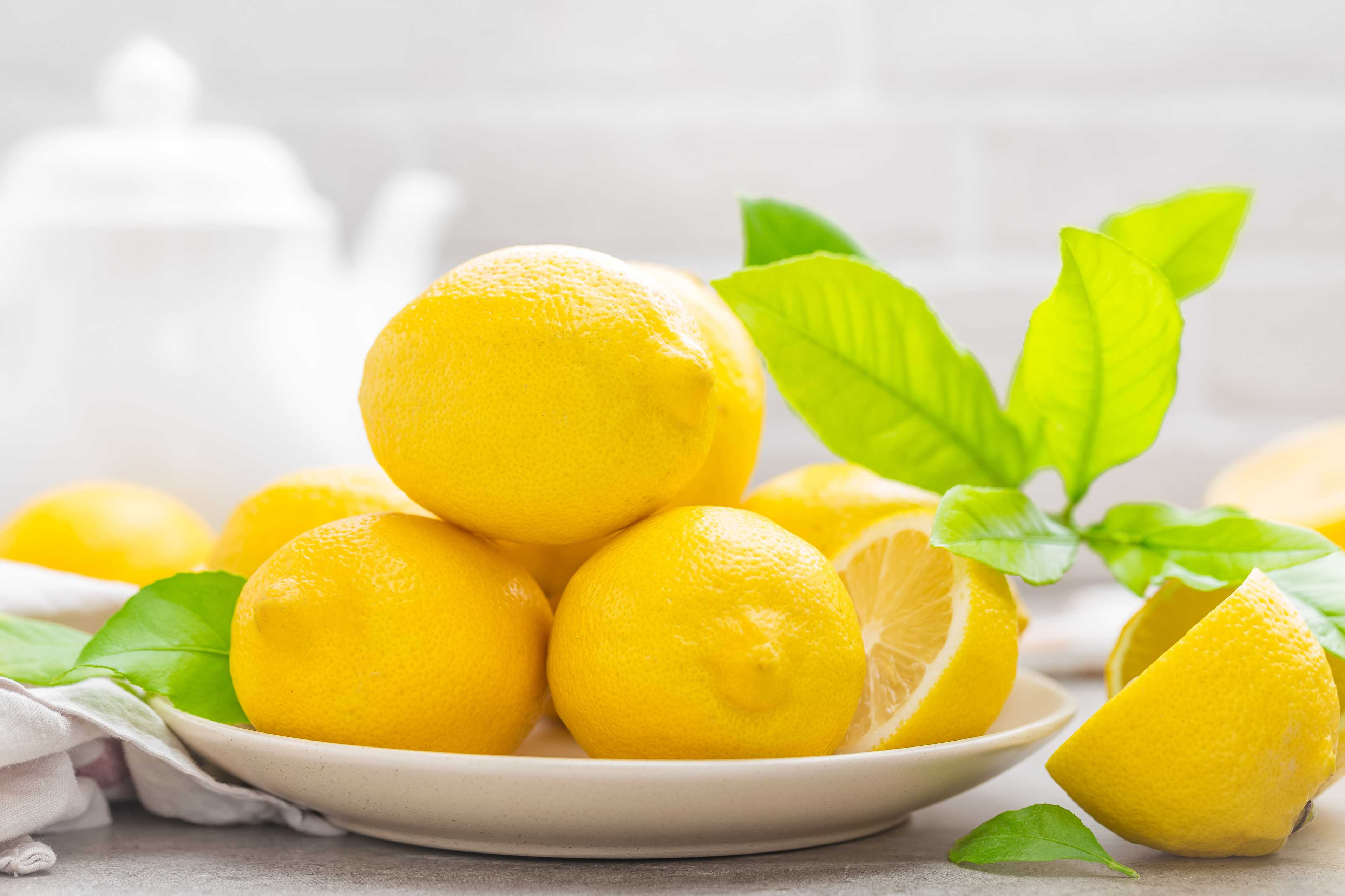 lemon in summer